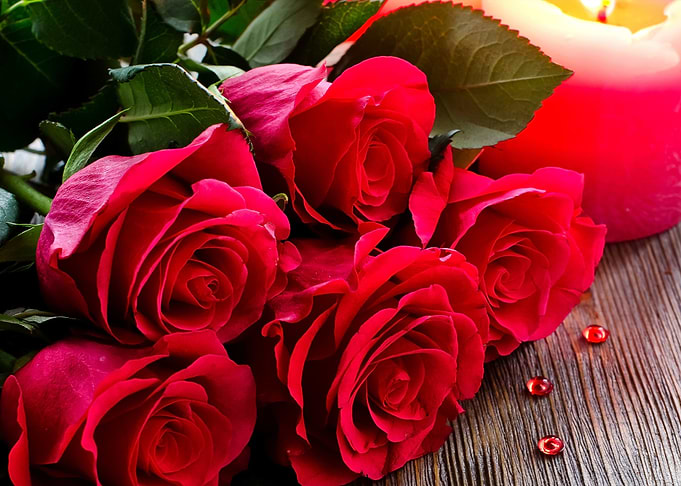 Roses