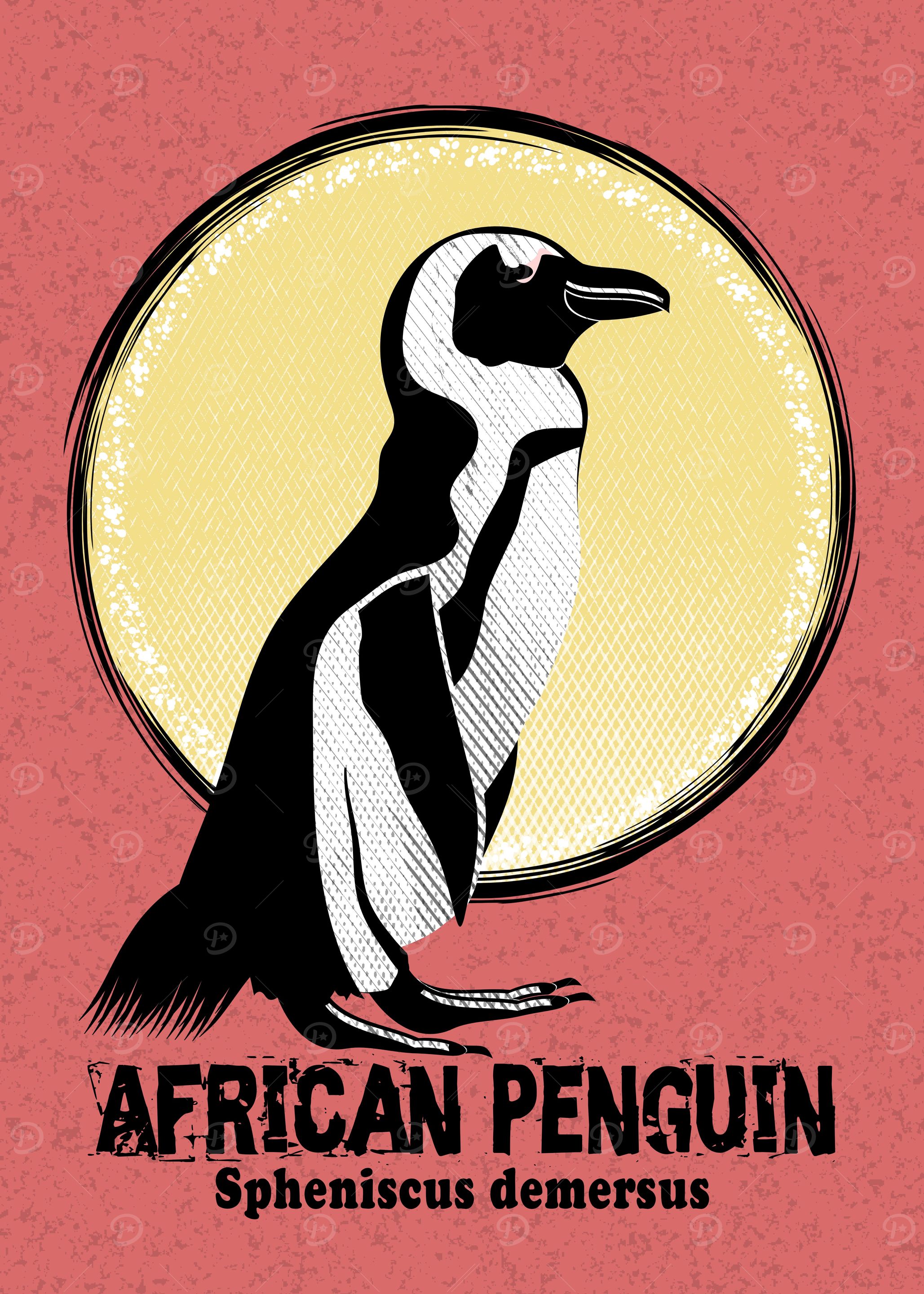 African Penguin