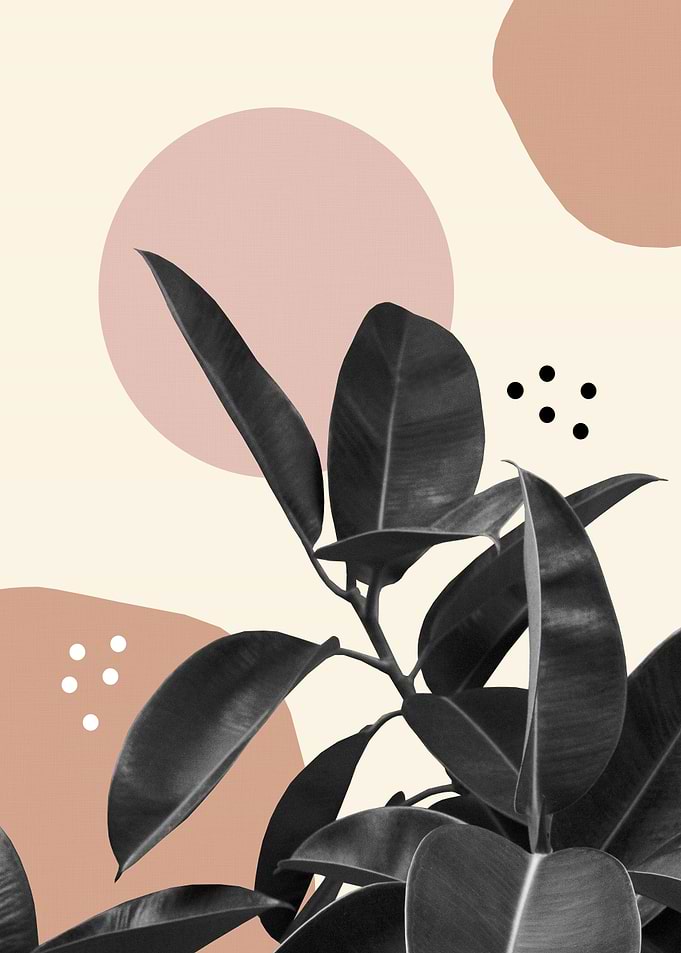 Ficus Summer Abstract 2