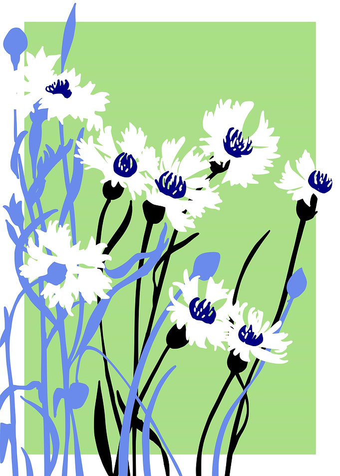 Bold Flower Cornflower
