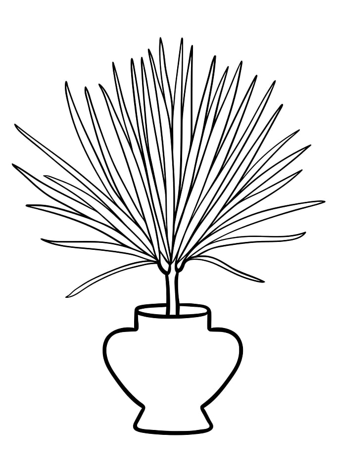 Potted Plant 31