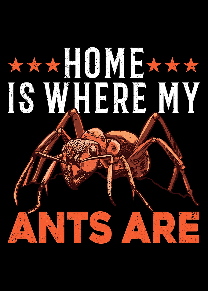 Home Is Where My Ants Are