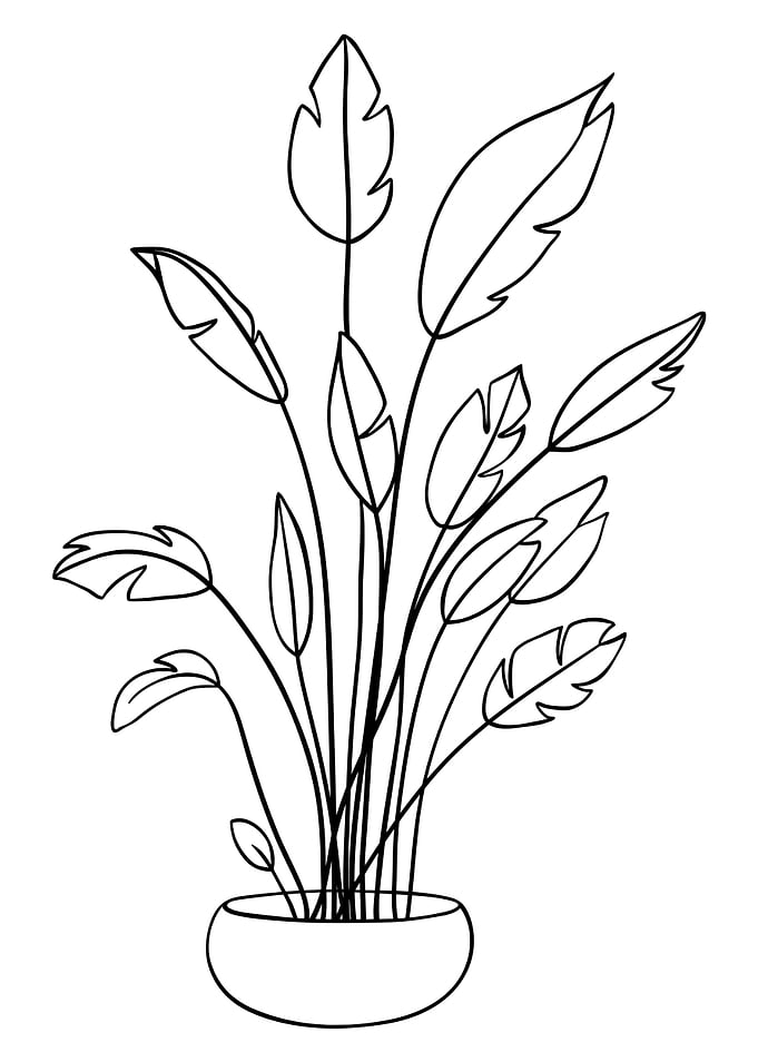 Potted Plant 28