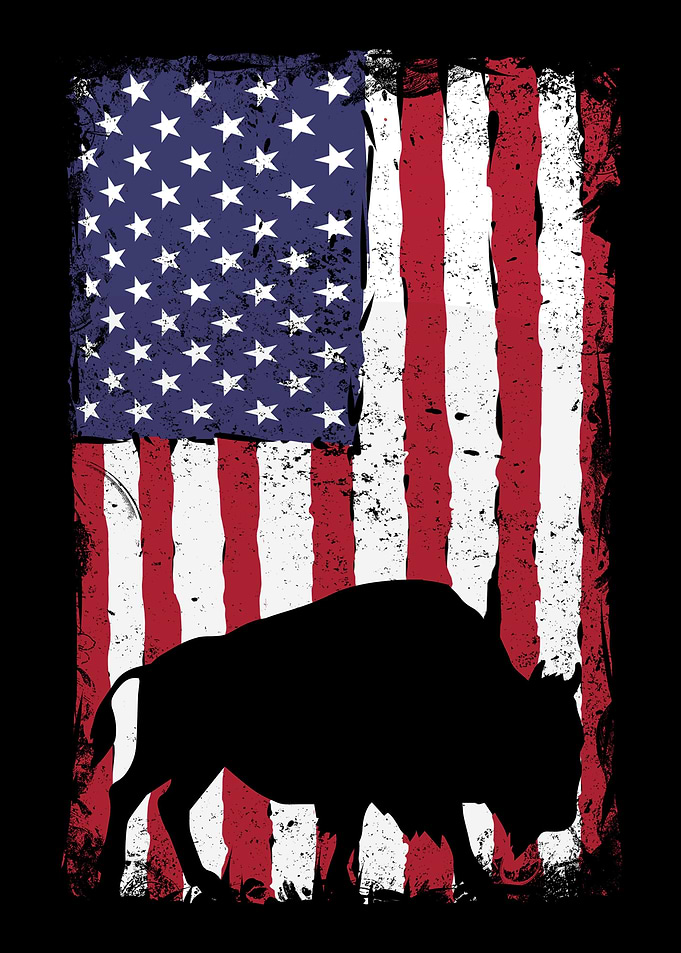 American Bison Hunting