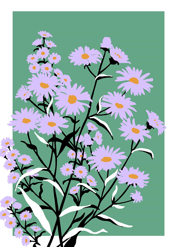 Bold Flower Autumn aster