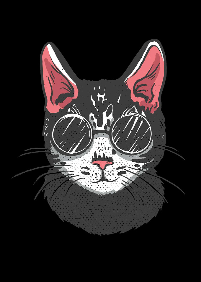 BLACK CAT SUNGLASSES