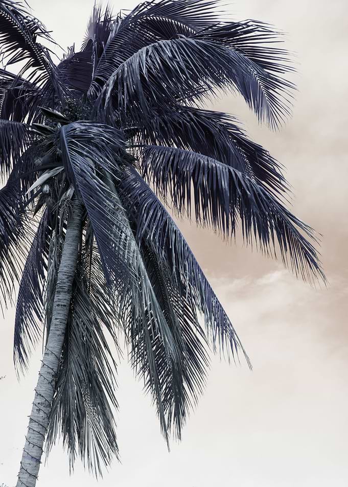 Tropical Palm Finesse 3