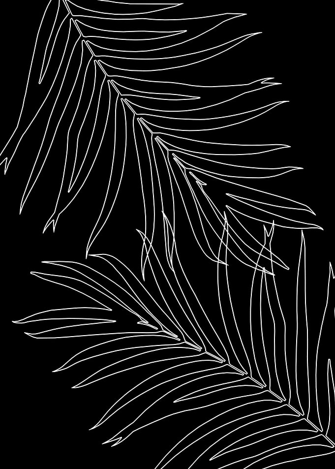 Minimal Palm Leaves Line 2