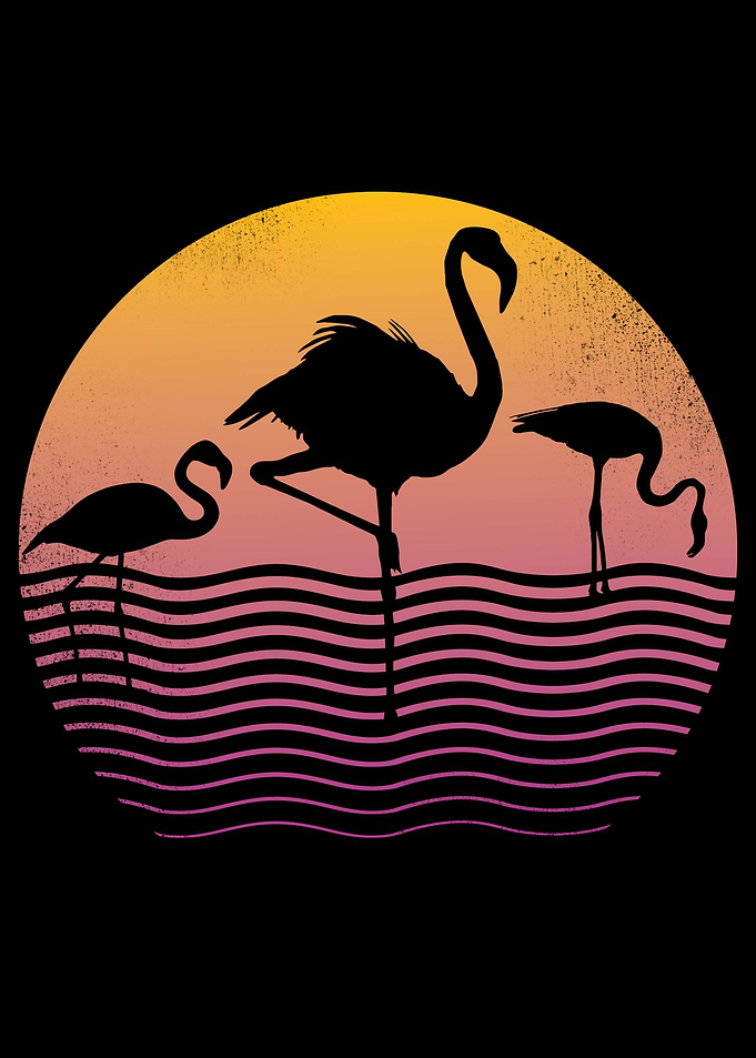 Flamingo Sunset