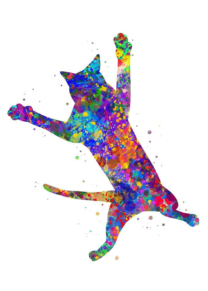 Cat jump