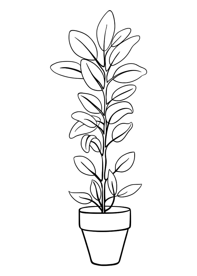 Potted Plant 23