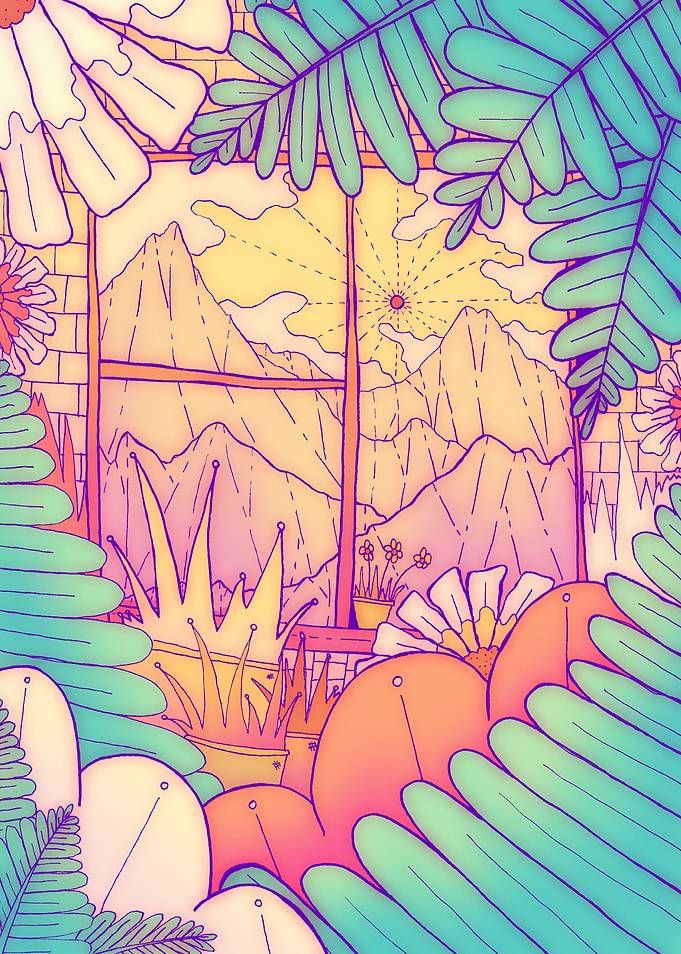 A look through the window