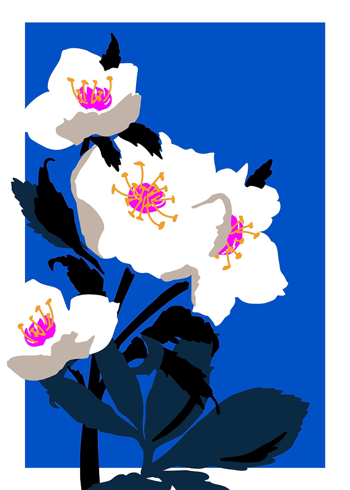 Bold Flower Christmas rose