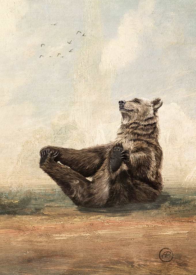 Yo the Yogi Bear