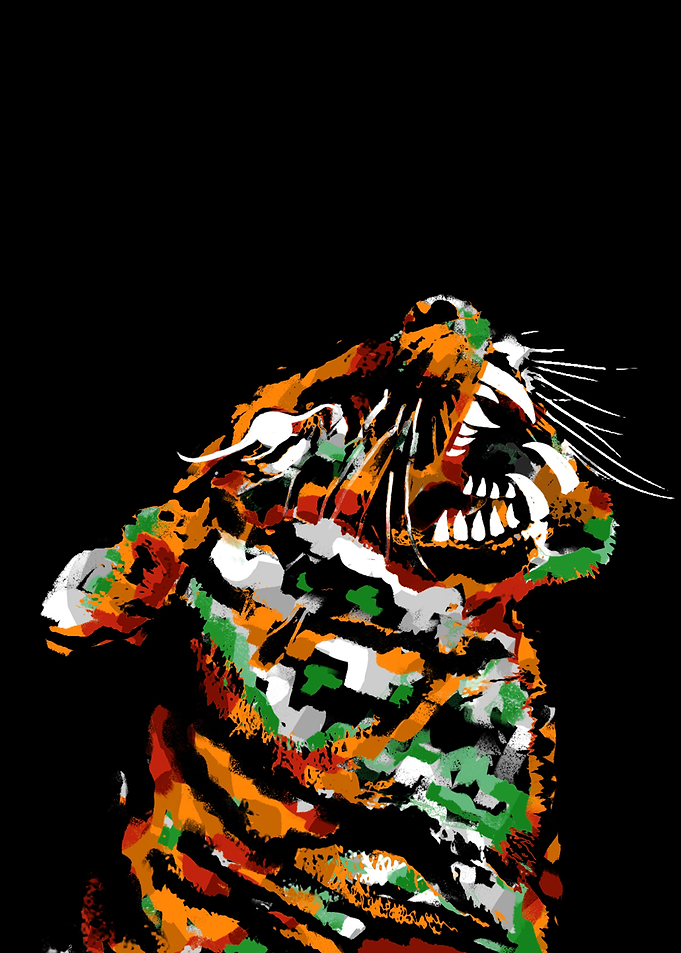 Sumatran tiger