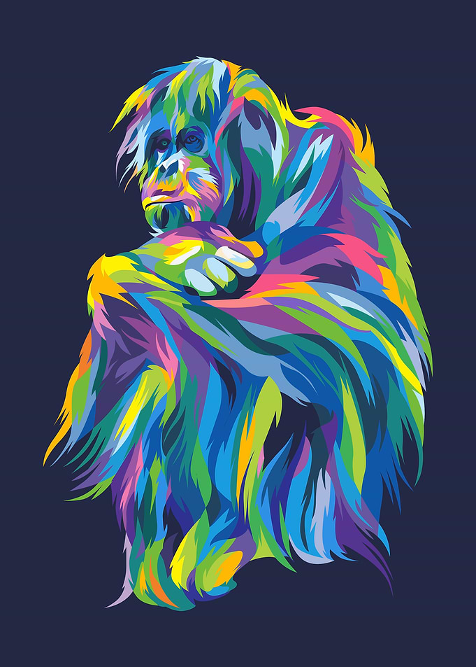 chimpanzee in colorful