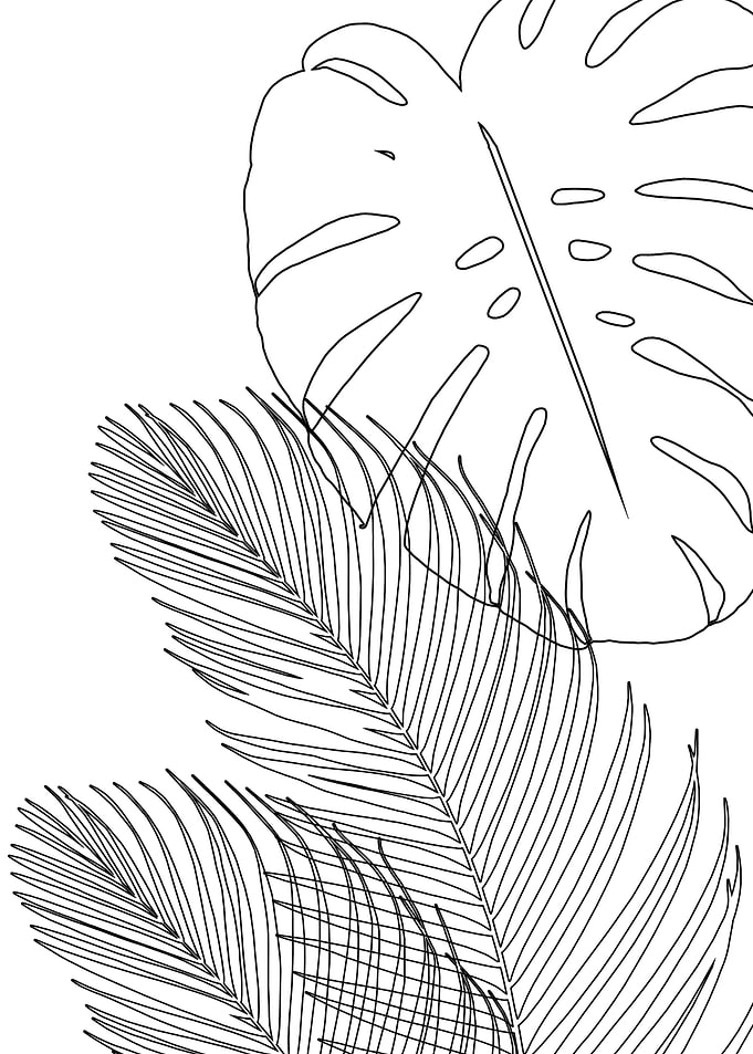 Monstera Palm Line Art 2