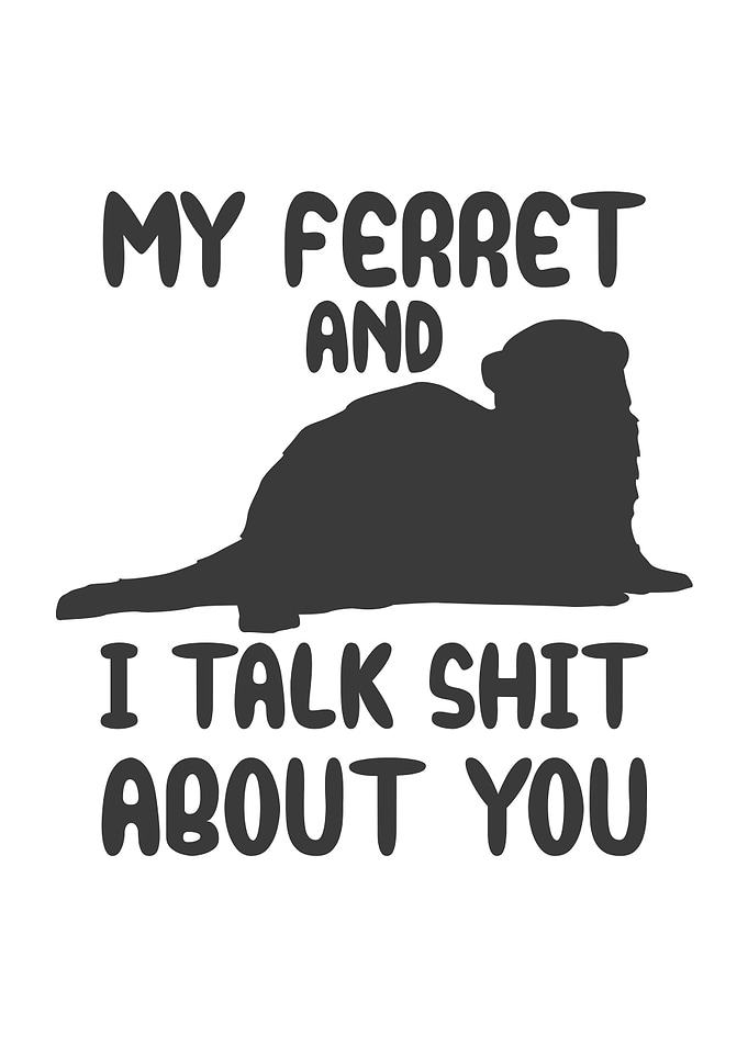 My ferret and I