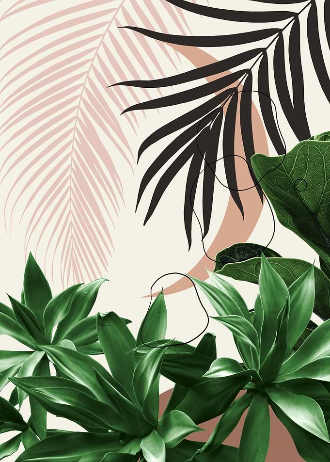 Minimal Moon Agave Palm 3