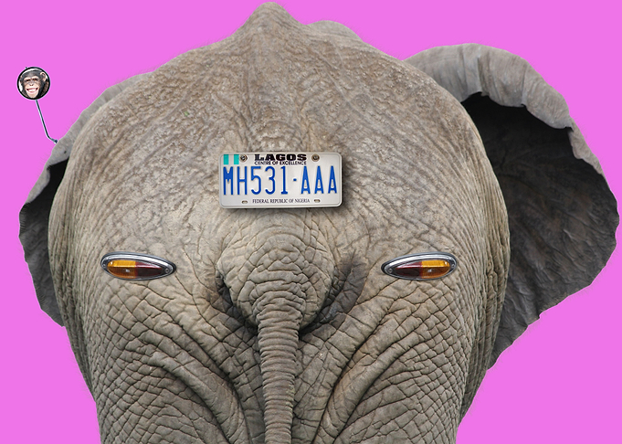 Elephant Plates