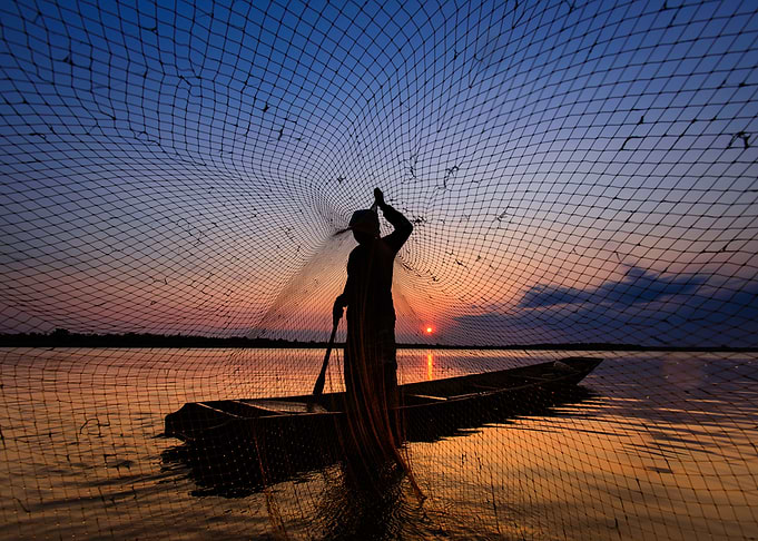 Casting Nets