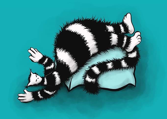 Weird Cat Sleeping