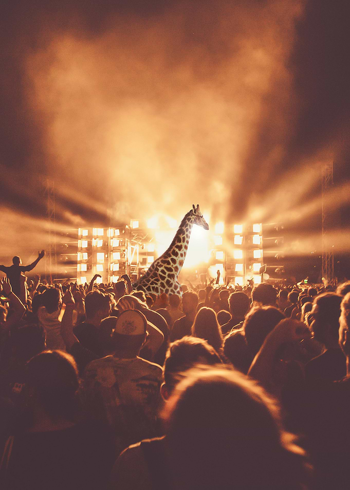 LIVE CONCERT