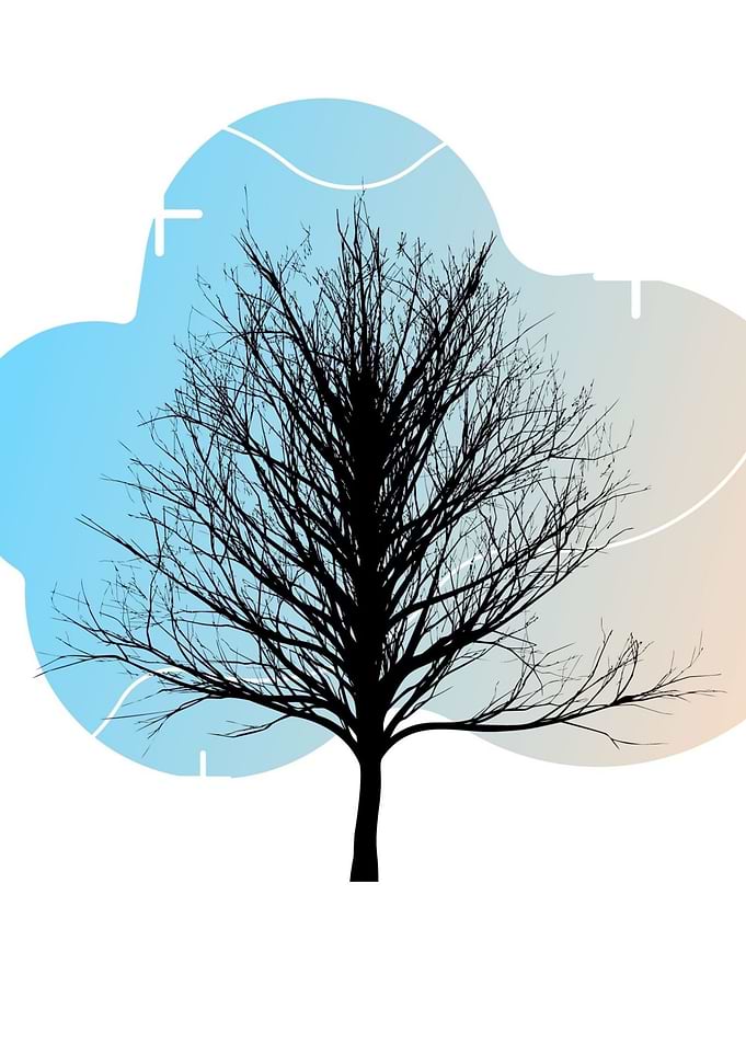 Tree Nature abstract