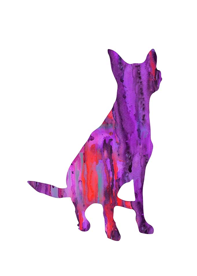 Kelpie