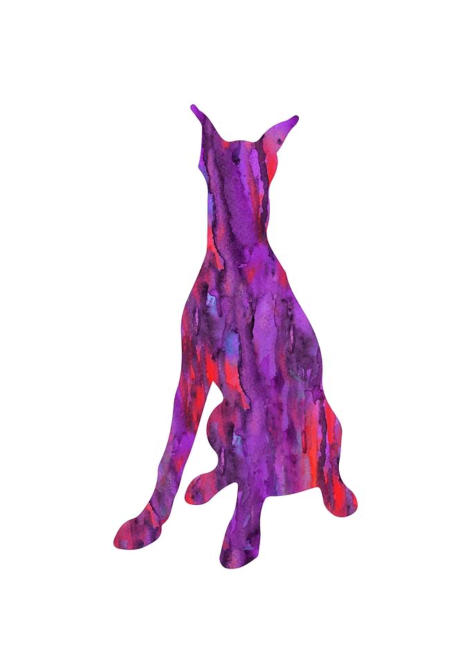 Doberman