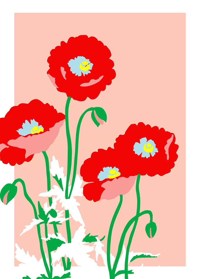 Bold Flower Poppy