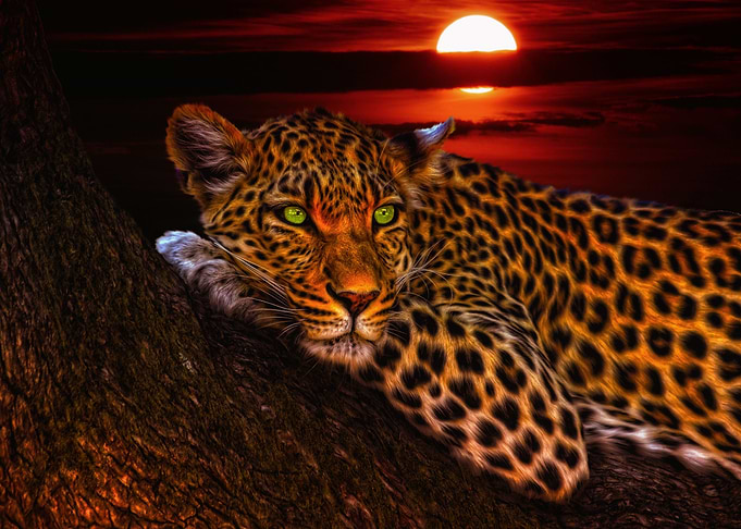Eye Of The Tiger