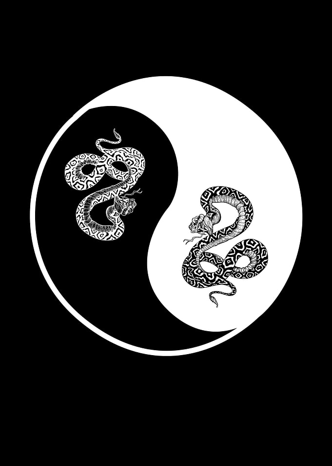 Yin and Yang snakes