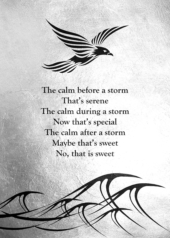 Storm Dove