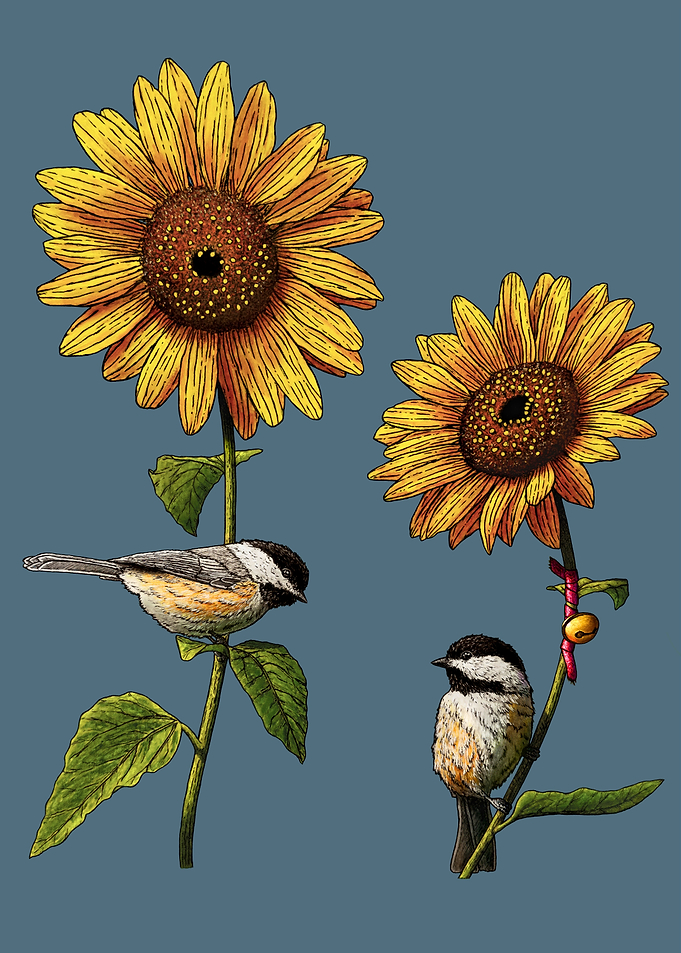 A feathered sunflower date
