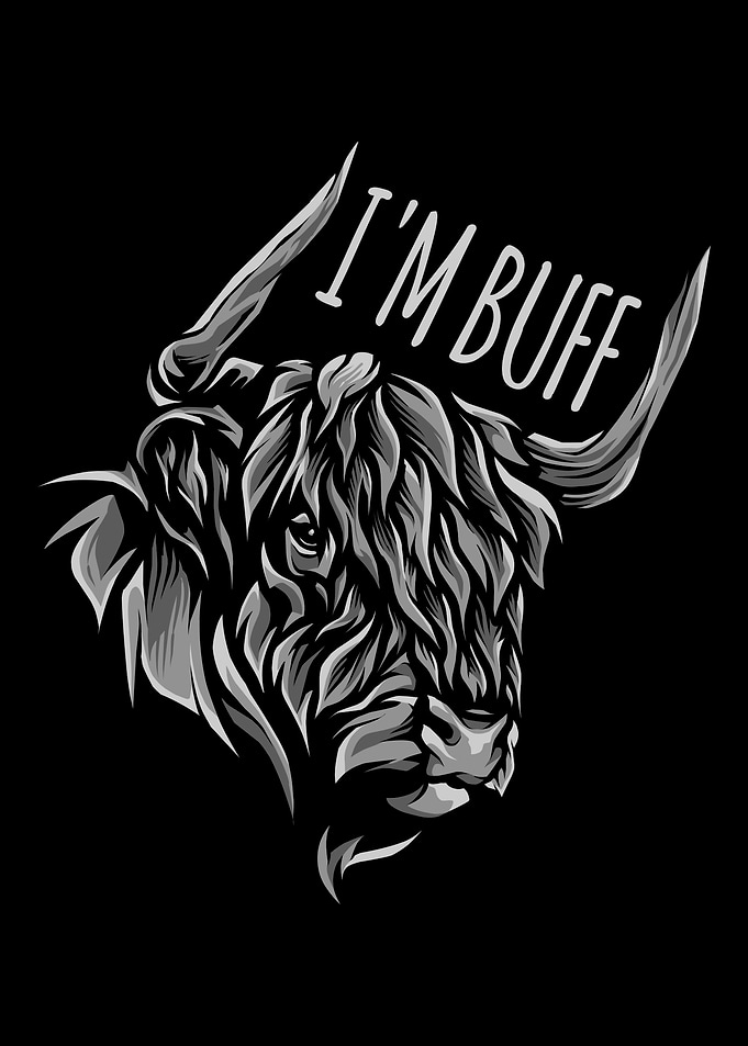 American Bison Hunting