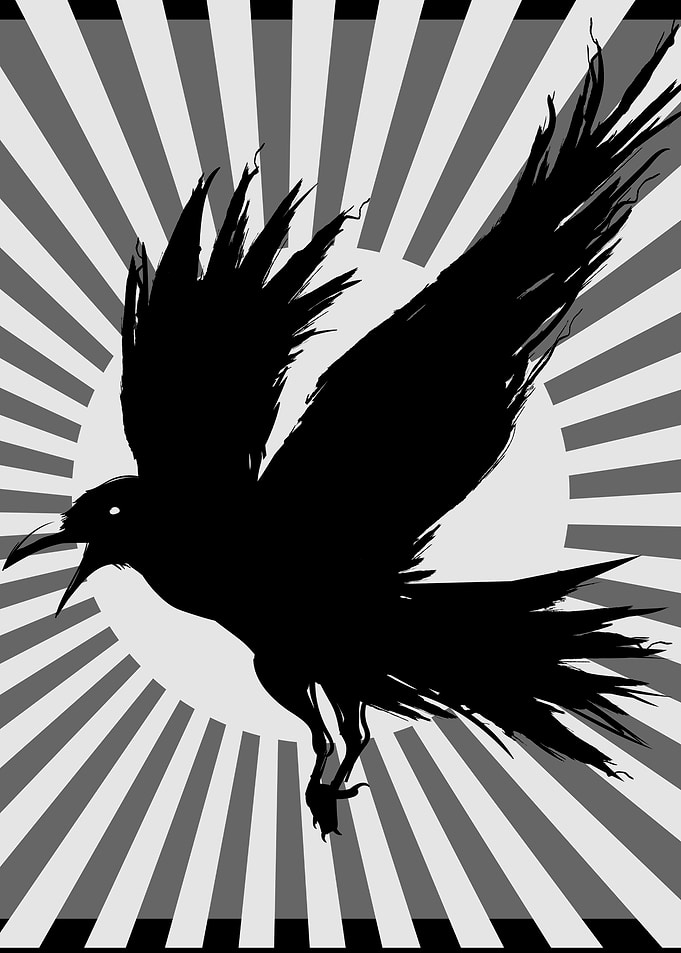 Raven Black Crow Aesthetic