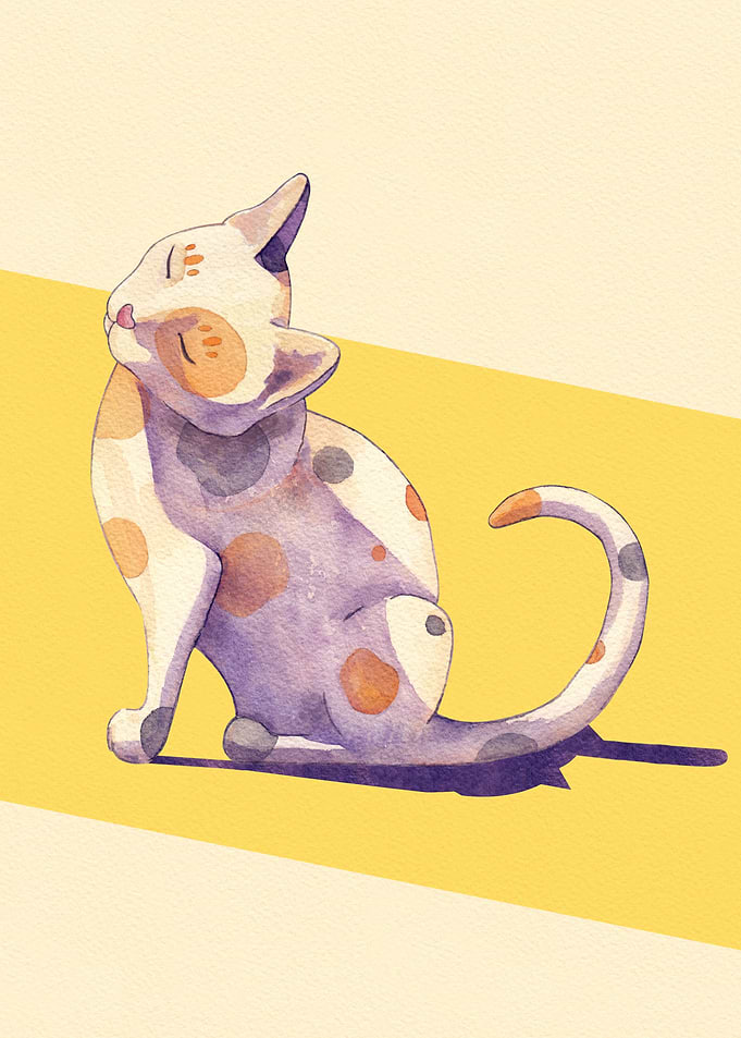 Cat Sunbathing