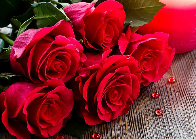 Roses