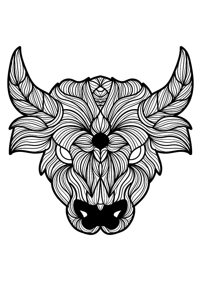 Bulls Head