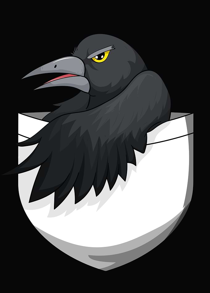 Funny Crow Raven Kawaii