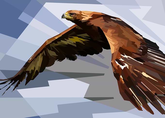 Vertical Eagle Dimensions