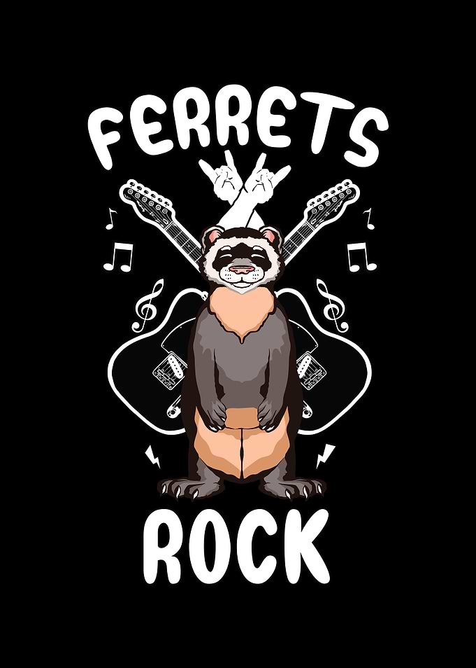 Ferrets rock