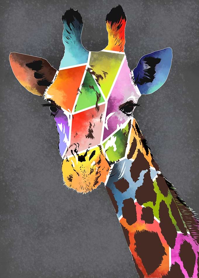 giraffe