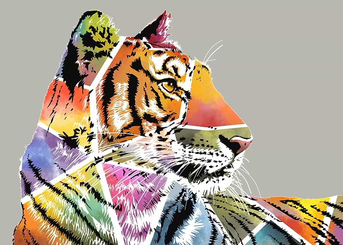 tiger