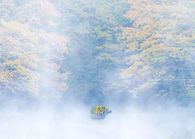 Autumn Lake View in Japan