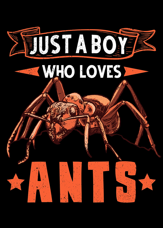 Ants Boy Ant Farm Anthill