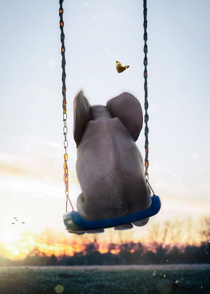 Baby Elephant Swing Garden