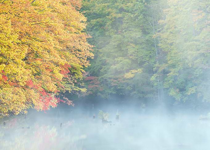 Autumn Lake View in Japan