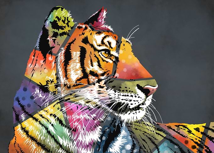 tiger